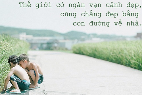 Câu nói hay về con đường phía trước, Stt con đường chông gai-4