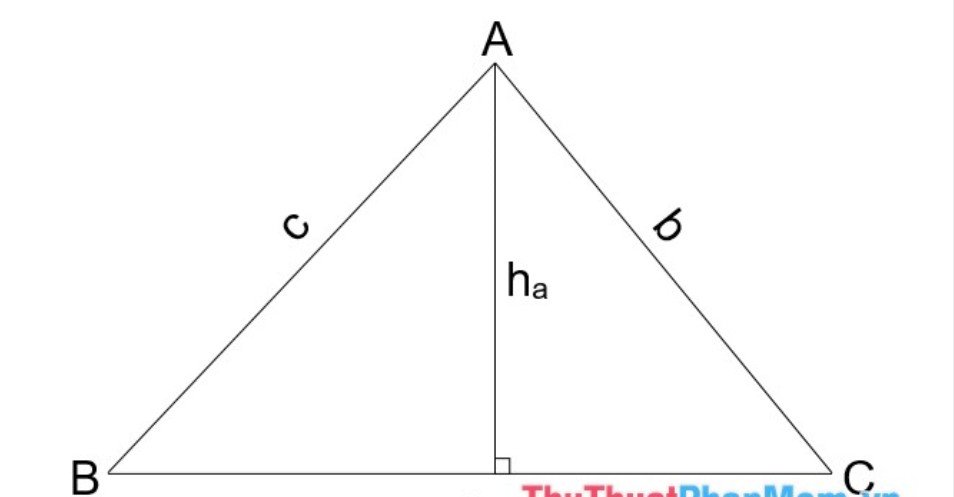 Công thức tính diện tích tam giác, hình tròn, hình vuông, hình chữ nhật, hình thang, hình bình hành