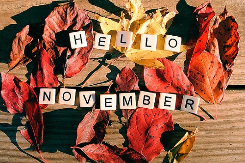 STT tháng 11 – Những câu nói hay chào tháng 11 yêu thương