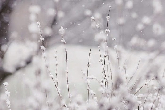 Hình ảnh mùa đông đẹp buồn cô đơn lãng mạn-33