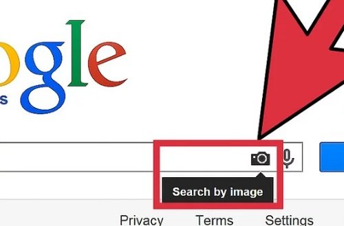 Cách tìm kiếm bằng hình ảnh trên Google đơn giản-2