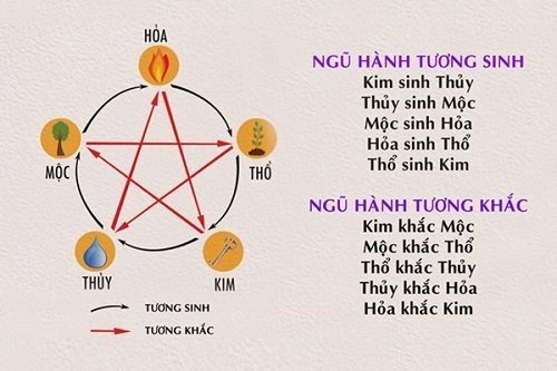 Cung mệnh là gì trong tử vi?