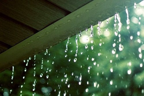 Top 3 dàn ý tả cơn mưa đầu mùa hay nhất
