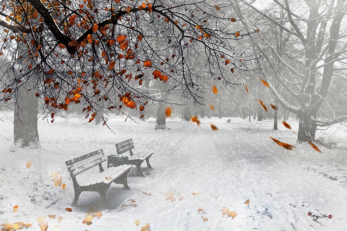 Hình ảnh mùa đông đẹp buồn cô đơn lãng mạn-30