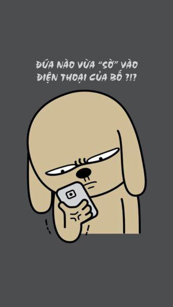 Hình Nền Mở Khóa Điện Thoại Hài Hước, Troll Bá Đạo, Cute Nhất Quả Đất-13