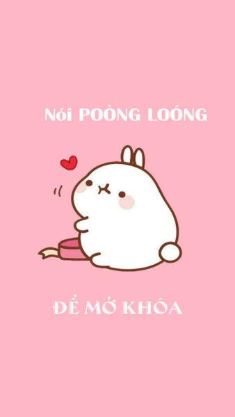 Hình Nền Mở Khóa Điện Thoại Hài Hước, Troll Bá Đạo, Cute Nhất Quả Đất-17