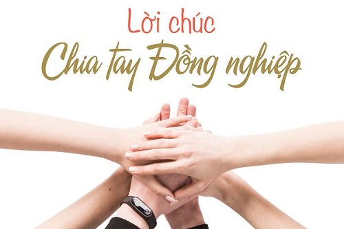 Lời chúc chia tay đồng nghiệp khi chuyển công tác, nghỉ hưu