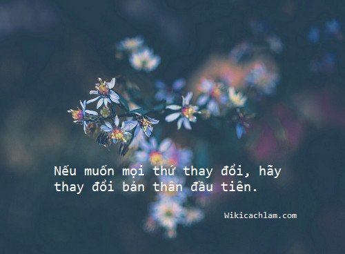 Những câu Stt hay về sự thay đổi, Stt thay đổi cuộc sống