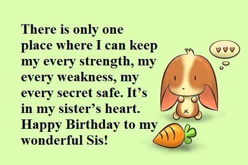 Những lời chúc mừng sinh nhật chị gái ý nghĩa “No1”-5