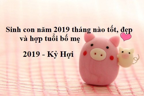 Sinh con năm 2019 tháng nào tốt, đẹp và hợp tuổi bố mẹ