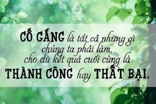 STT cố gắng sẽ thành công, STT cố gắng vì tương lai-2