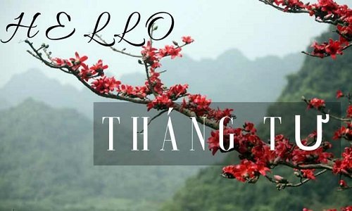 Stt tháng 4 – Những câu nói hay chào tháng 4 tinh khôi-2