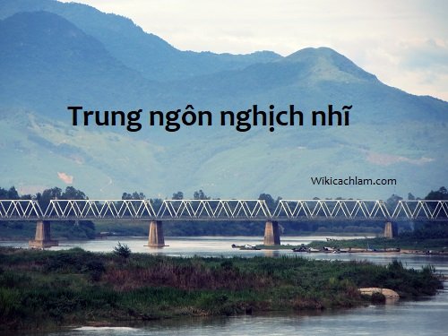 Sưu tầm những câu ca dao tục ngữ về tôn trọng lẽ phải-3