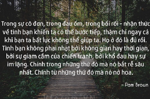 Những câu nói hay về tình bạn đáng để suy ngẫm