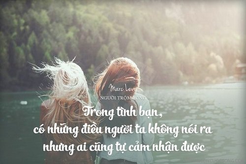 Những câu nói hay về tình bạn đáng để suy ngẫm-9