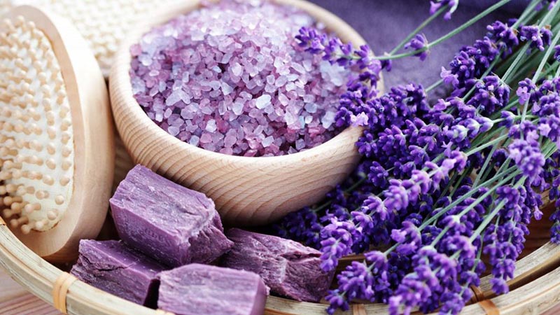 Ảnh hoa oải hương Lavender, hình nền hoa oải hương đẹp-14