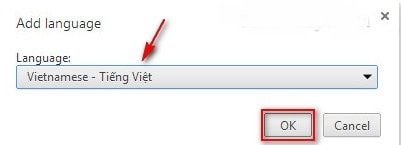 Cách cài đặt Tiếng Việt cho Google Chrome-12