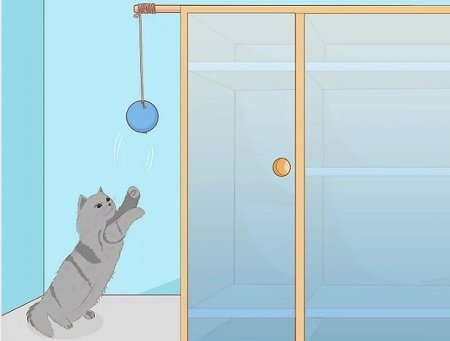 Cách làm đồ chơi cho mèo đơn giản tại nhà-7