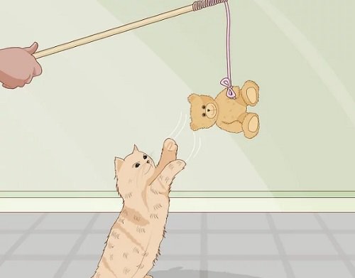 Cách làm đồ chơi cho mèo đơn giản tại nhà-12