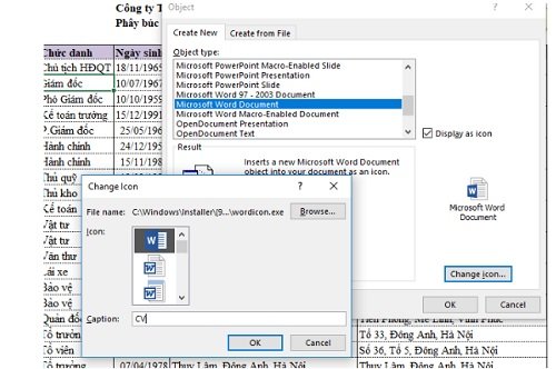 Cách chèn file PDF vào EXCEL đơn giản-17