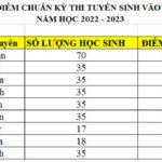 Điểm chuẩn vào 10 THPT Chuyên Nguyễn Du 2022