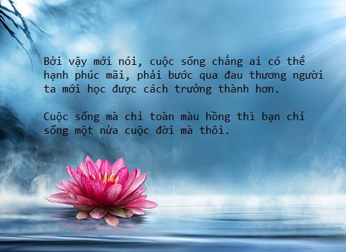 Hạnh phúc là gì? Hạnh phúc được chắp vá từ những điều giản đơn-4