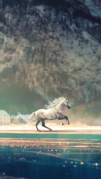 Hình nền ngựa cho iPhone đẹp nhất | Ngựa, Hình nền, Hình