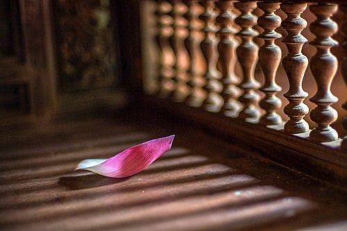 Hoa rơi cửa Phật là gì? Ý nghĩa của hoa rơi cửa Phật