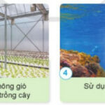 Luyện tập