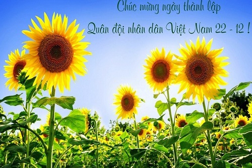 Lời chúc ngày 22/12 hay, STT ngày Quân đội nhân dân Việt Nam-5