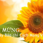 Ảnh chúc mừng Ngày 21/6 hình hoa Hướng Dương