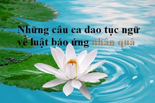 Những câu ca dao tục ngữ về luật báo ứng nhân quả