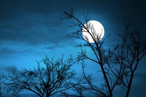 Những câu nói hay về trăng tròn, Stt về ánh trăng buồn-3