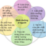 Trò chơi: “Hái hoa”