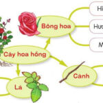 Tả cây cối