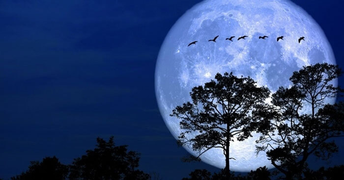 Tập làm văn lớp 5: Tả một đêm trăng đẹp (Dàn ý + 40 Mẫu) Tả đêm trăng đẹp lớp 5