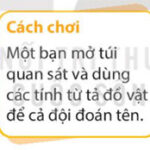 Câu 4