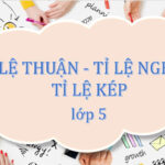 Tỉ lệ thuận, tỉ lệ nghịch, tỉ lệ kép là dạng toán khó trong chương trình Toán 5