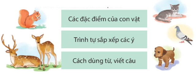 Viết: Viết bài văn miêu tả con vật – Tiếng Việt 4 Kết nối tri thức Tiếng Việt lớp 4 Kết nối tri thức tập 1 Bài 29
