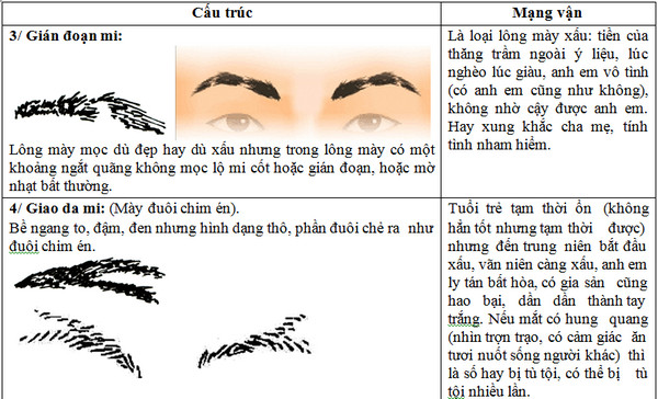 Xem tướng lông mày đàn ông, phụ nữ đoán giàu sang-5