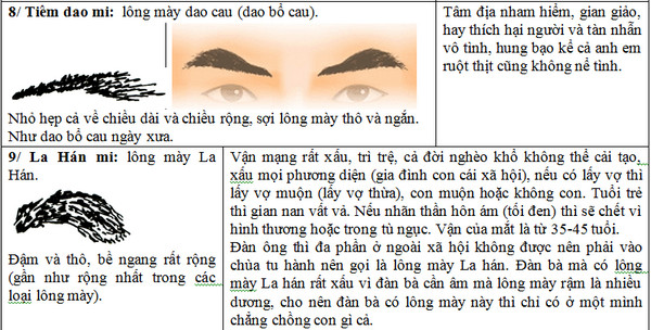 Xem tướng lông mày đàn ông, phụ nữ đoán giàu sang-8