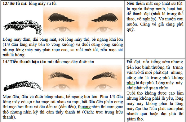 Xem tướng lông mày đàn ông, phụ nữ đoán giàu sang-10