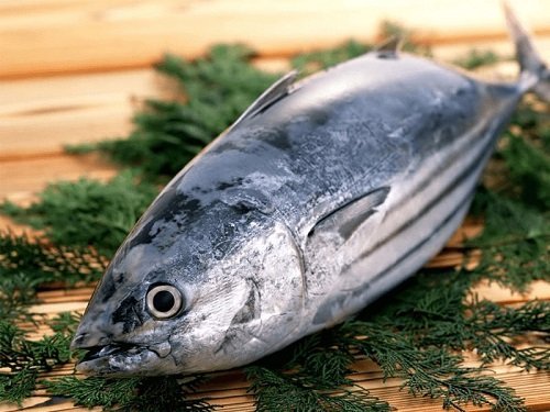 5 Cách kho cá ngừ ngon bổ dưỡng-2